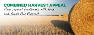 Harvest Hay Bale